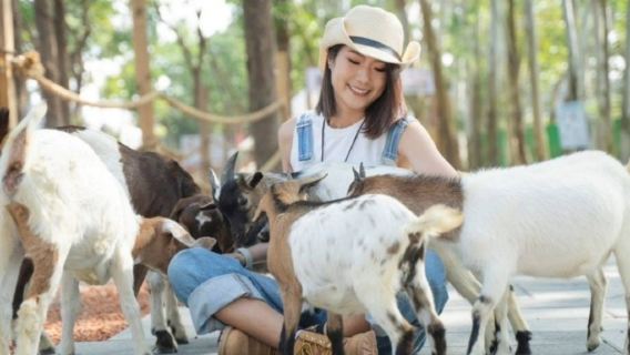 Mea Me Shang Shu Cute Pet Paradise