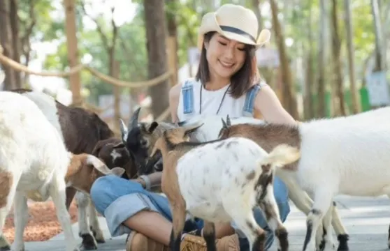 咩咩上樹萌寵樂園森林高空冒險+極限大擺蕩體驗1次大小同價