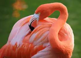 Zoo Miami