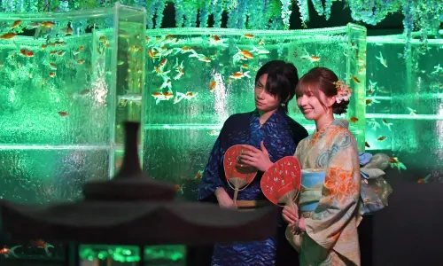ART AQUARIUM MUSEUM