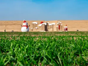 เมืองละครเมืองแห่งมณฑลเหอหนานเท่านั้น