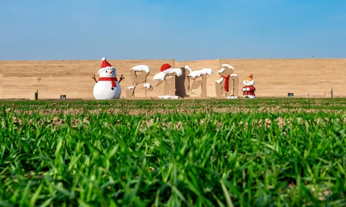 Unique Henan Land of Dramas