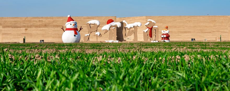 Unique Henan Land of Dramas