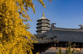 Popular Activities in Jiaxing