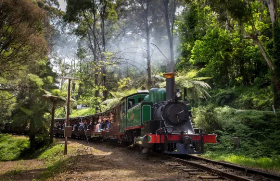 普芬比利蒸汽火車往返票成人
