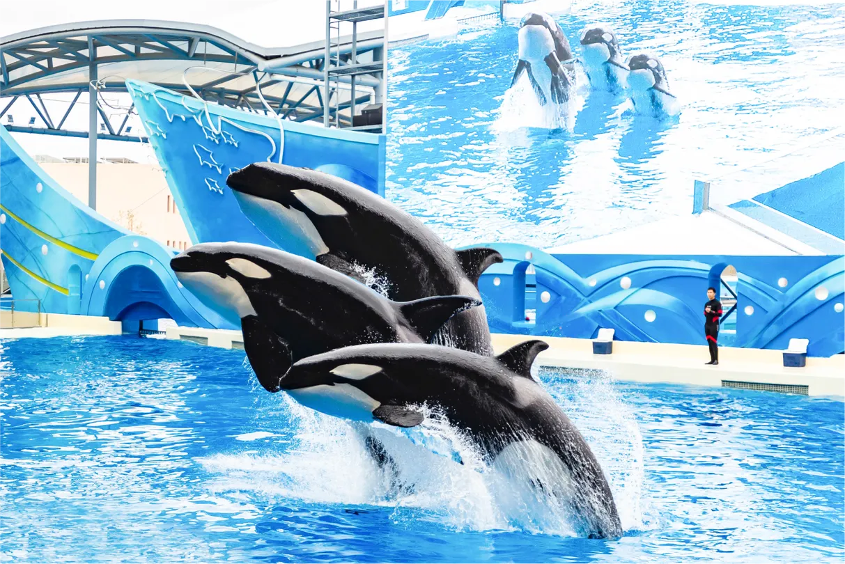 2_上海海昌海洋公園