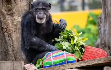 高雄市壽山動物園