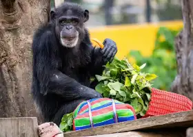 高雄市壽山動物園