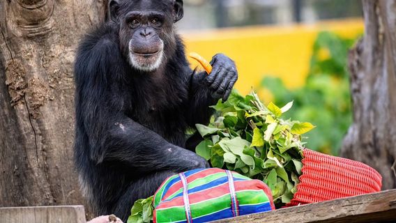 Zoológico de Shou Shan