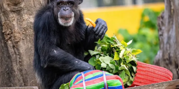 高雄市壽山動物園