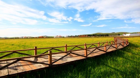 The First Grassland Scenic Area in the North of Beijing, Bashang