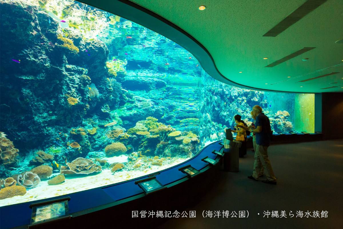 沖繩美麗海水族館