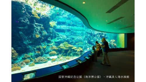 沖繩美麗海水族館