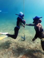 椰潛潛水海洋運動