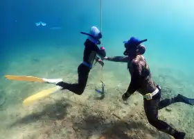 椰潛潛水海洋運動