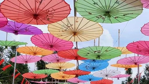 Wulong Mountain Ecotourism Scenic Area