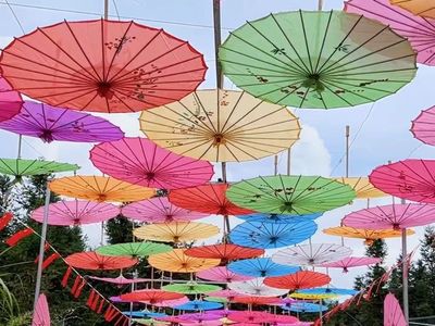 Wulong Mountain Ecotourism Scenic Area