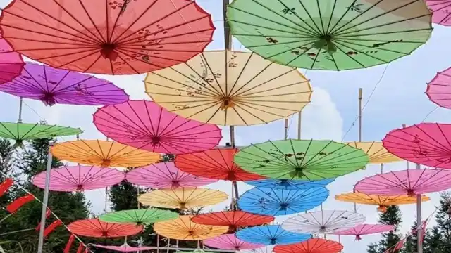 五龍山生態旅遊景區