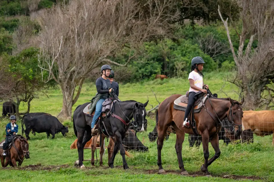 4_Kualoa Ranch
