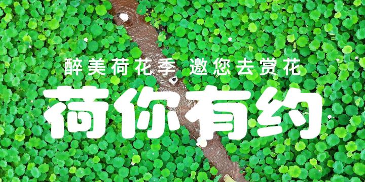Fenglin Town
