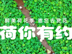 峰林曉鎮