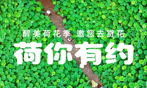 峰林曉鎮