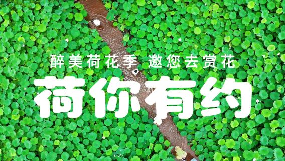 Fenglin Xiaozhen