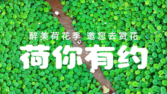 Fenglin Town