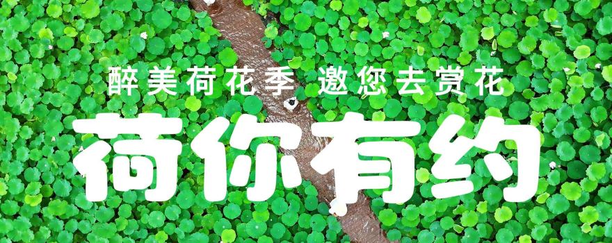 Fenglin Xiaozhen