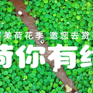 峯林曉鎮