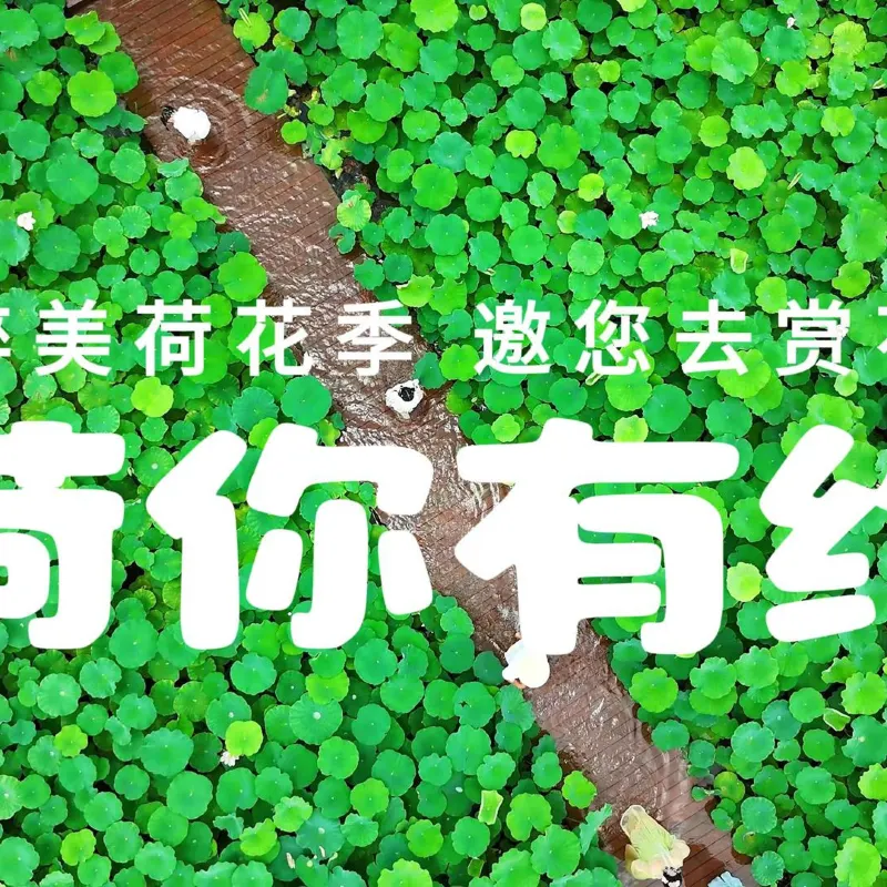 峰林曉鎮