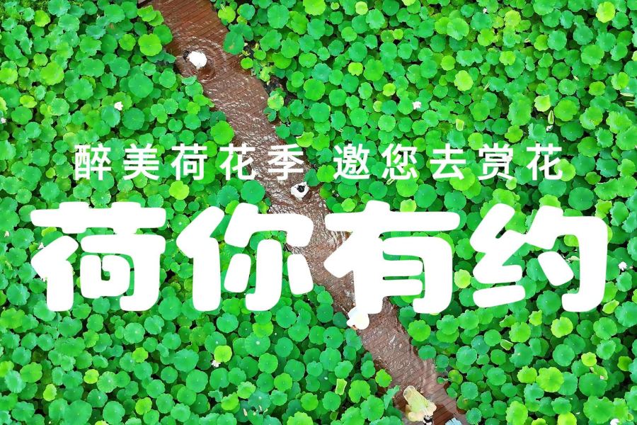 峯林曉鎮
