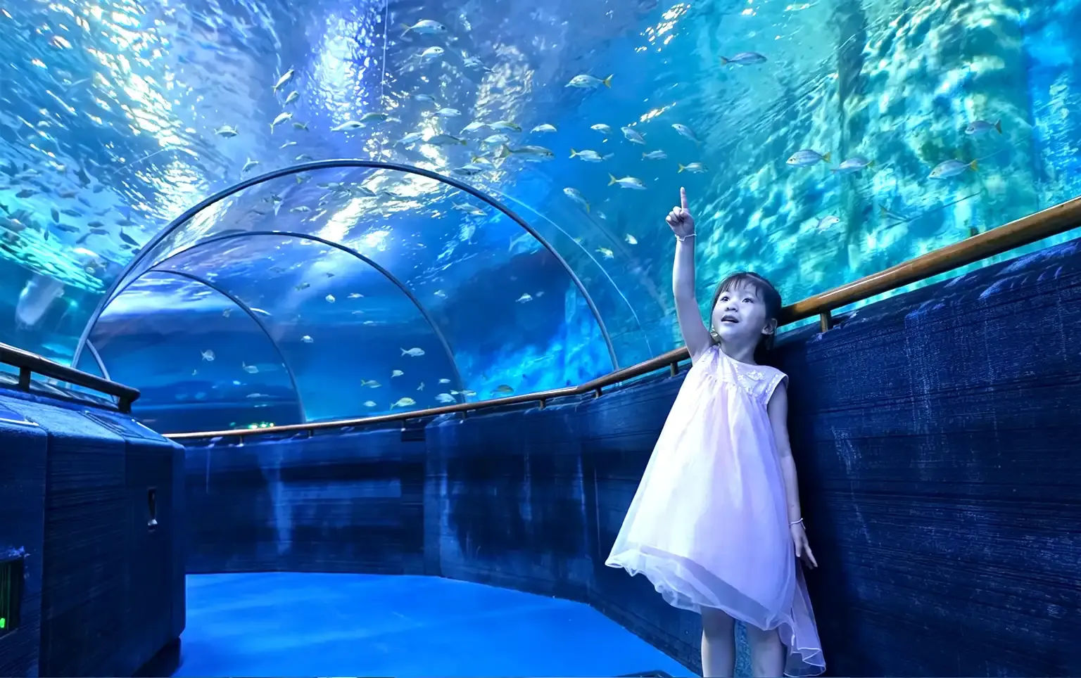 Hotels in der Nähe von Xiamen Underwater World