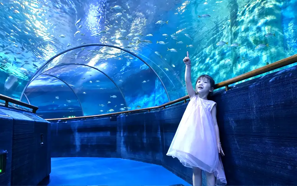 1_Xiamen Underwater World