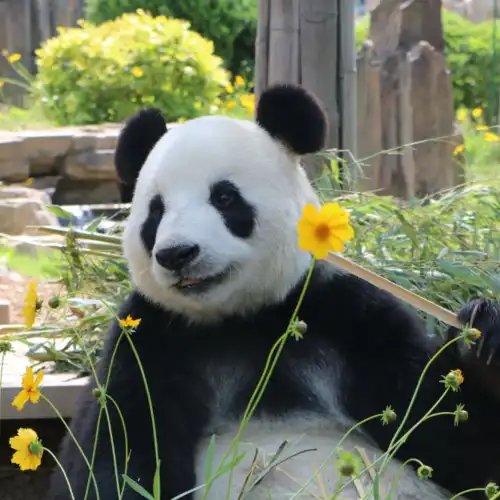 Top 20 Global Traveller-Picked Attractions in Dalian