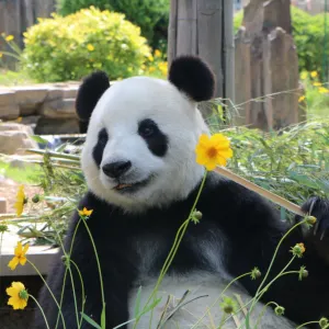 Dalian Forest Zoo