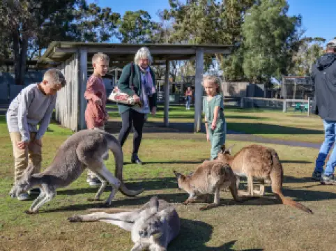 Hunter Valley Wildlife Park