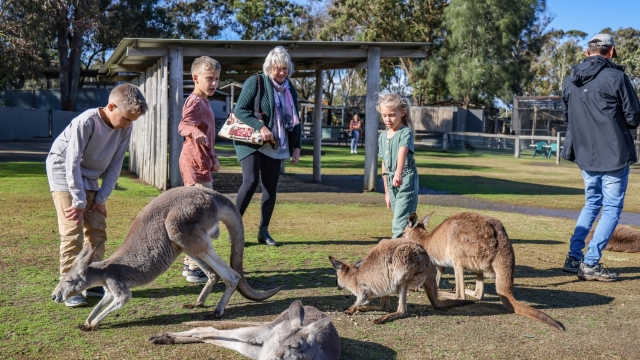 Hunter Valley Wildlife Park