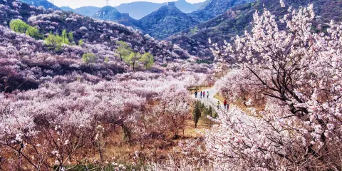 八達嶺古長城（殘長城）