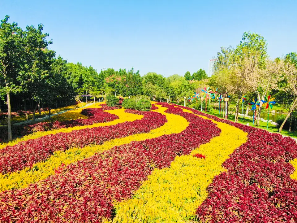 4_สวนนิทรรศการสีเขียวของจีน