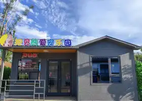 棲霞抱貝熊愛寵樂園