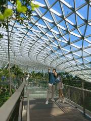 Jewel Changi Airport