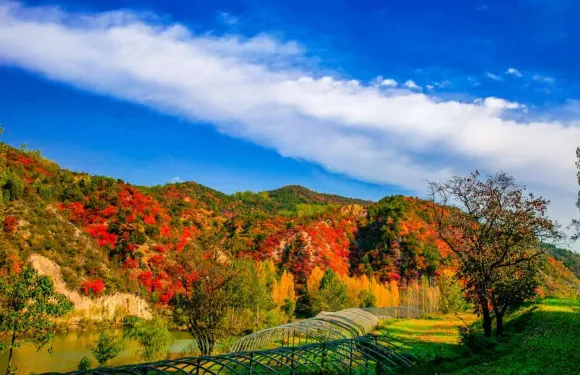 媧皇谷旅遊度假區網紅步道+山頂滑道大小同價