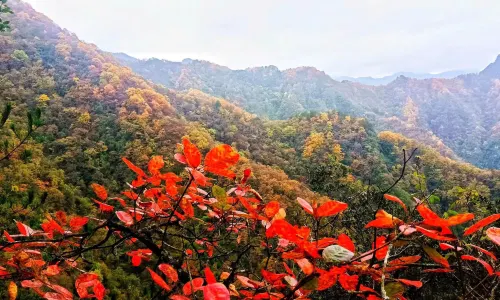 Kangjiazhai Scenic Area