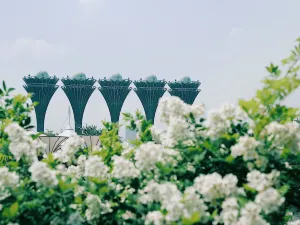 Hui Garden
