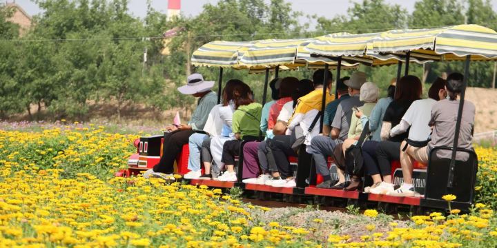 Feng'an Tun Cultural and Ecological Park, Zhongning County