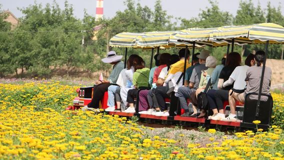 Feng'an Tun Cultural and Ecological Park, Zhongning County