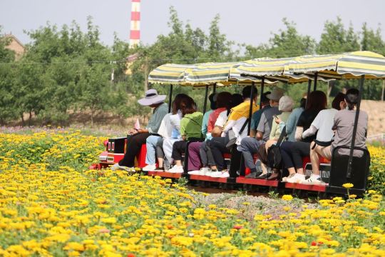 Feng'an Tun Cultural and Ecological Park, Zhongning County