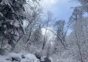 Changbai Mountain Premier Natural Rafting