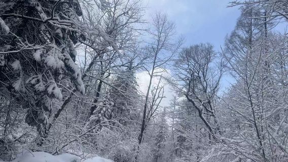 Changbai Mountain Premier Natural Rafting